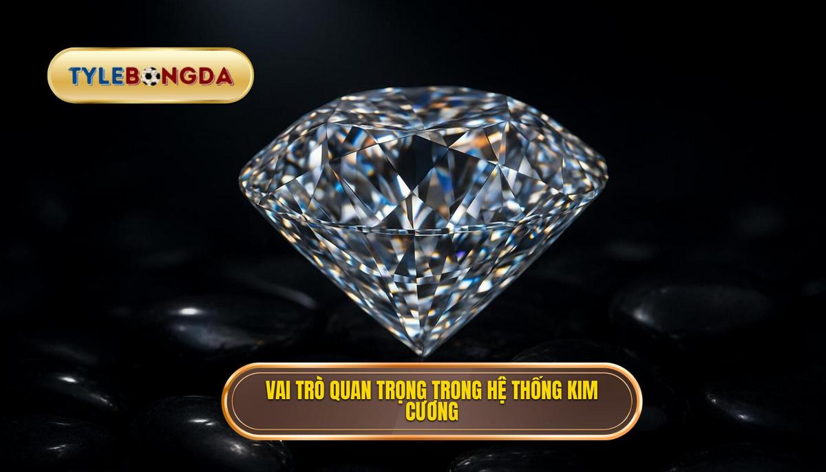 Vai trò then chốt của các vị trí trong hệ thống kim cương