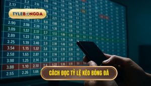 thumb - Cách đọc tỷ lệ kèo bóng đá