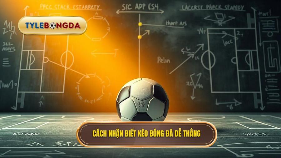 1. Cách nhận biết kèo bóng đá dễ thắng Cách nhận biết kèo bóng đá dễ thắng