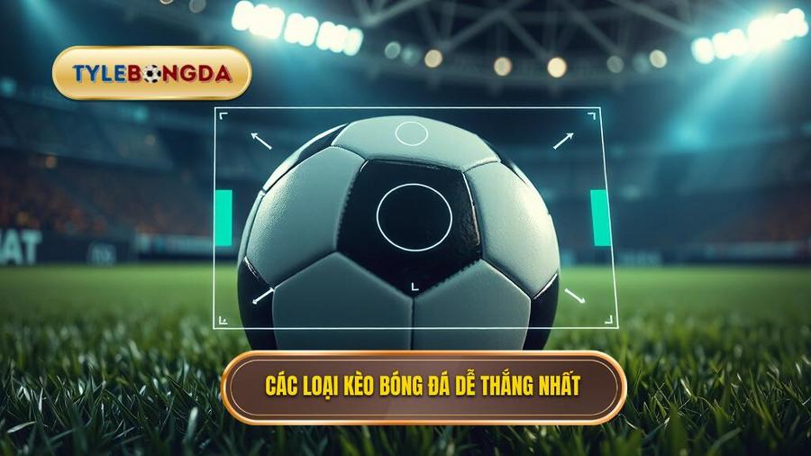 2. Các loại kèo bóng đá dễ thắng nhất Các loại kèo bóng đá dễ thắng nhất