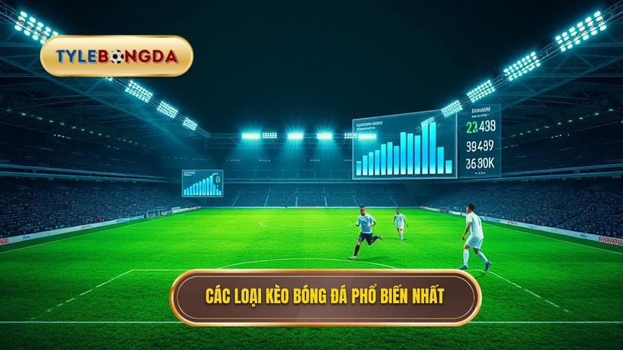 2. Các loại kèo bóng đá phổ biến nhất Các loại kèo bóng đá phổ biến nhất