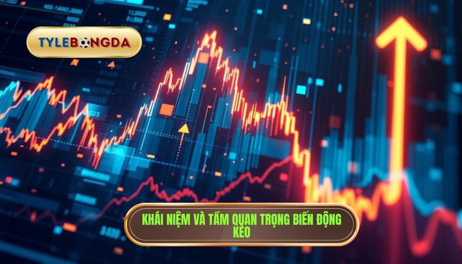 1. Khái niệm và tầm quan trọng biến động kèo