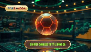 Bí quyết chọn kèo thơm mỗi ngày - Kinh nghiệm soi kèo từ chuyên gia