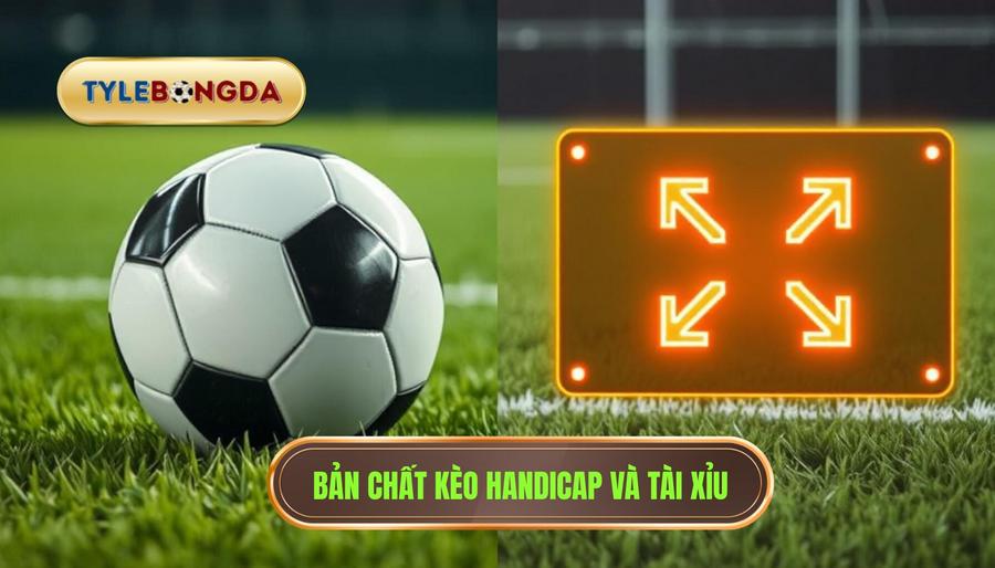 1. Hiểu rõ bản chất của kèo Handicap và kèo Tài Xỉu