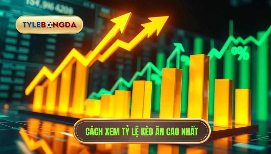 Hiểu đúng về tỷ lệ kèo ăn cao nhất trong cá cược